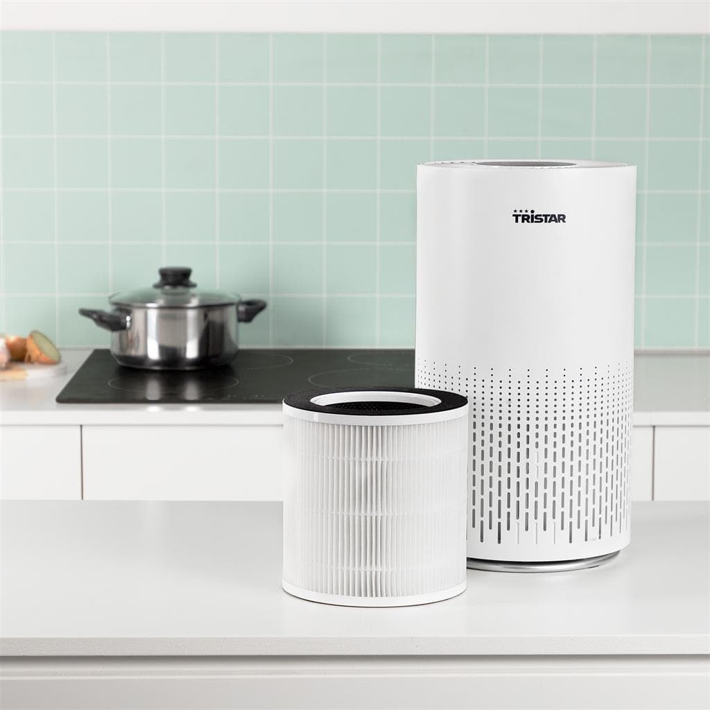 AP-4707 - Filtre de remplacement pour AP-4787 - 2